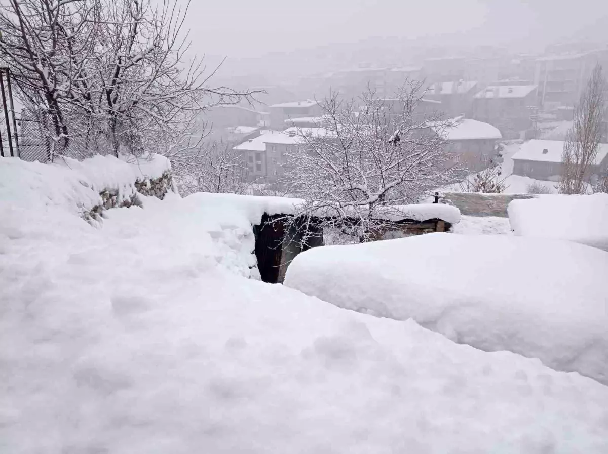 Hakkari\'de 58 yerleşim yerinin yolu kapandı