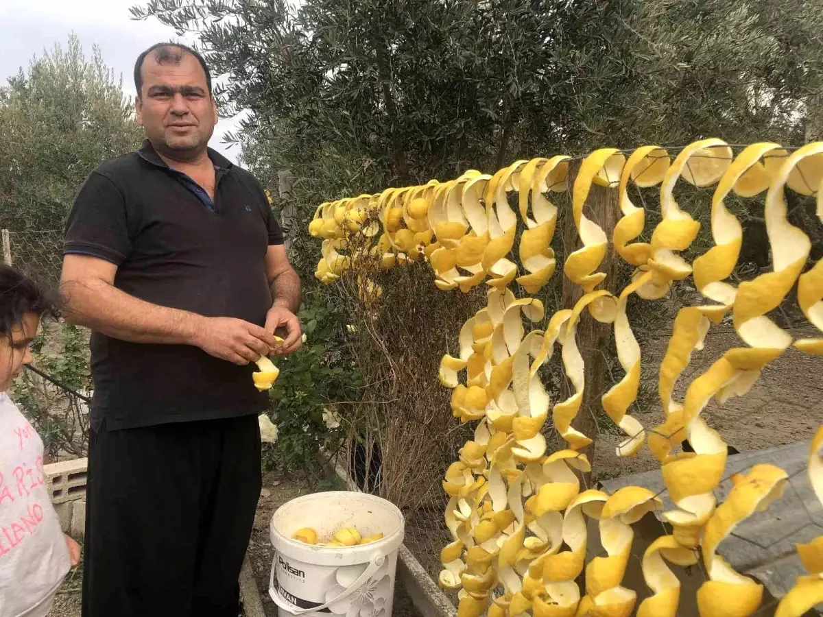 Limonun kabuğu kendinden değerli! Kilosunu 7 liradan satıyorlar