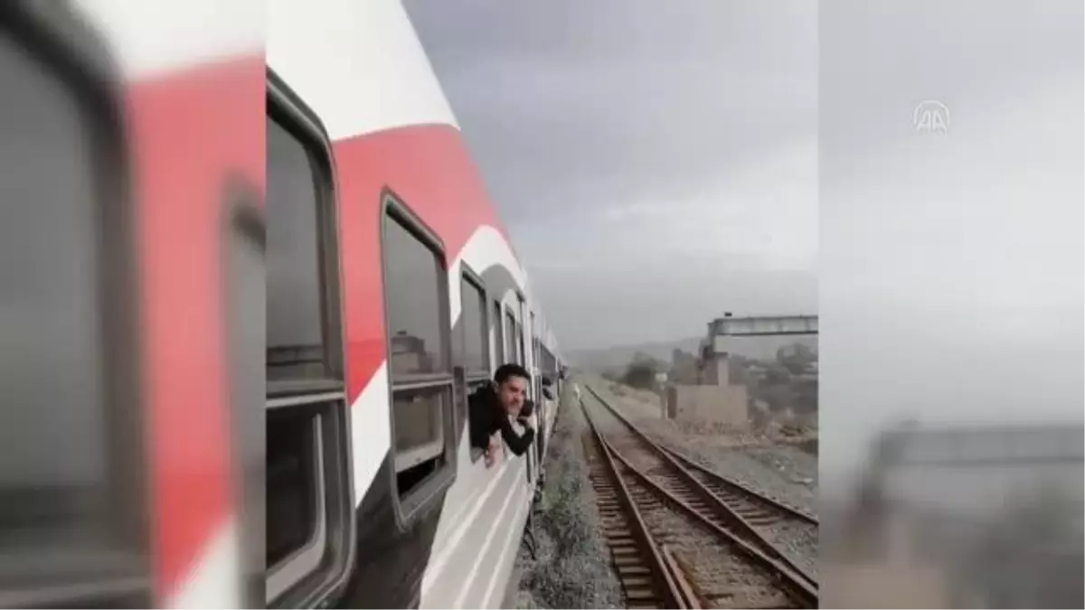 Mısır\'da sahibinden kaçan at iki tren arasına girdi