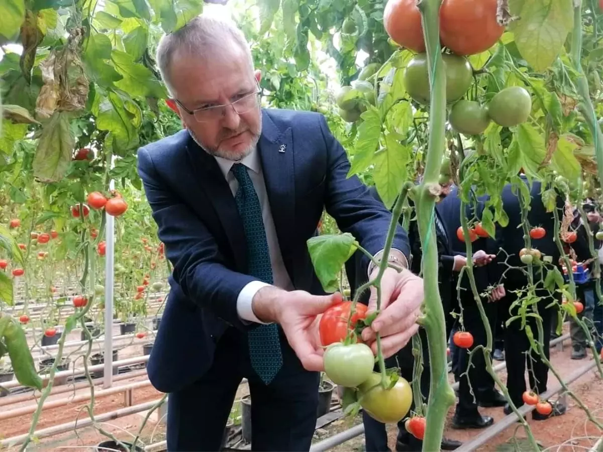 Tarıma Dayalı İhtisas OSB, Kütahya\'nın vizyon projesi olacak