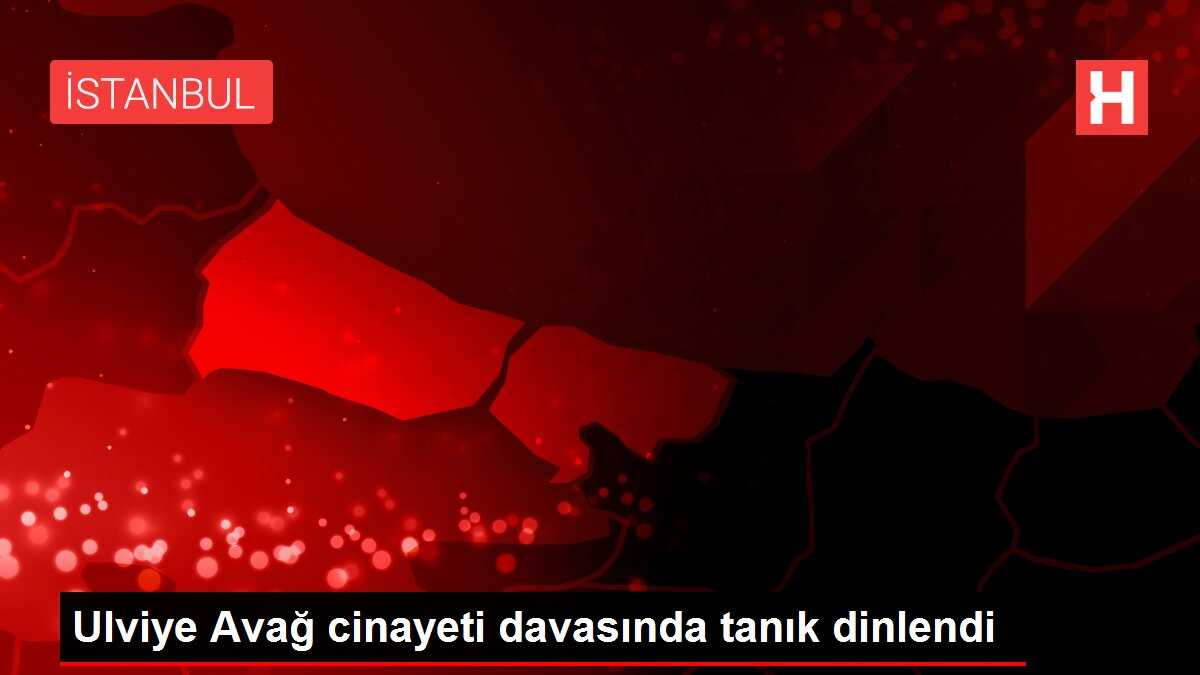 Ulviye Avağ cinayeti davasında tanık dinlendi