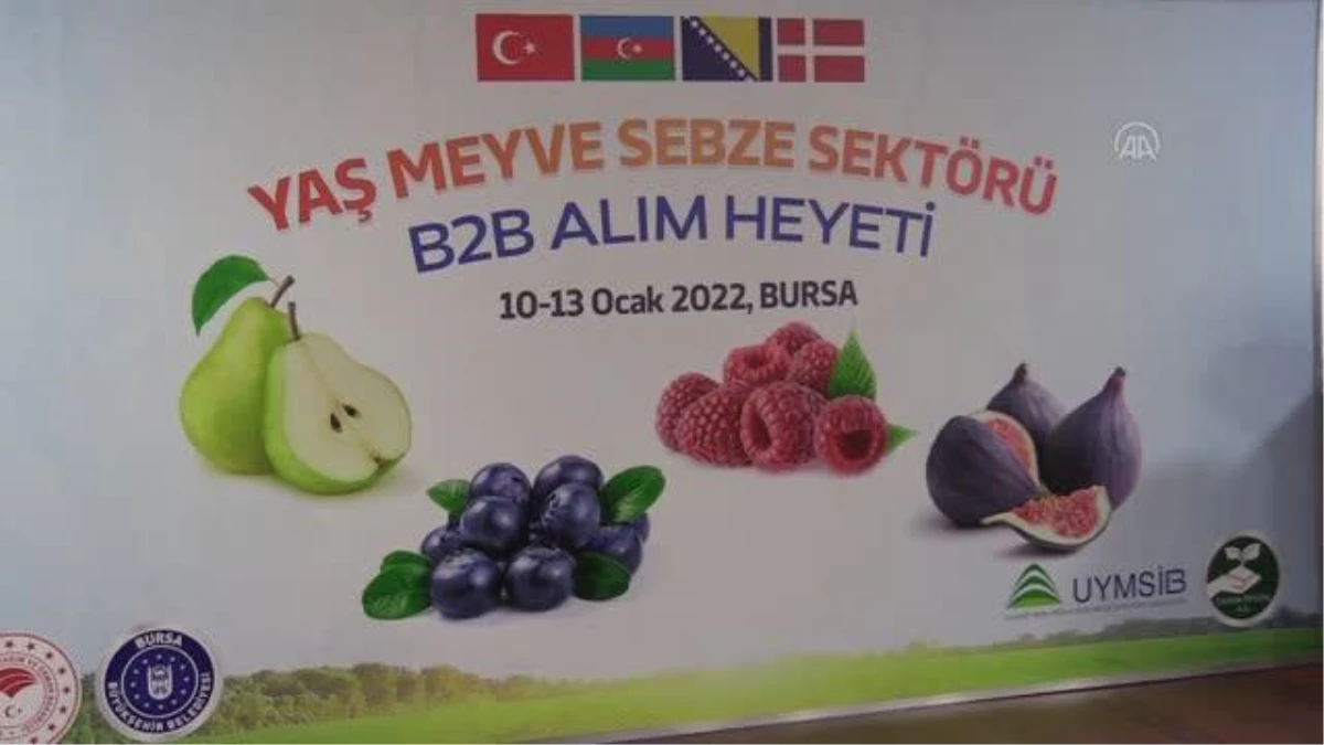 Yaş meyve sebze sektörü alım heyeti organizasyonunda yabancı alıcılar Bursa\'ya geldi