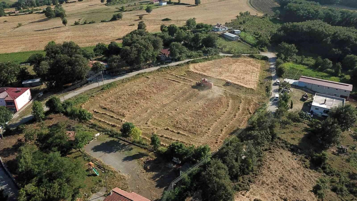 Atakum Belediyesi 2021'de kırsal üretime güç verdi