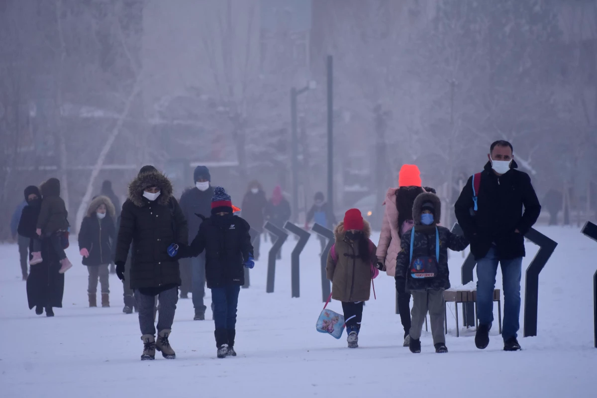 Doğu Anadolu\'da kar, sis ve soğuk hava etkili oluyor