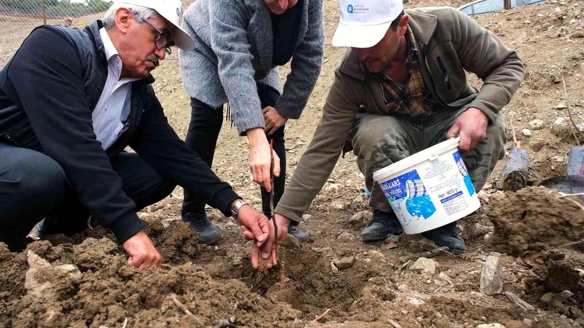 Gündoğmuş\'a ceviz fidanı ve hamur makinesi yardımı