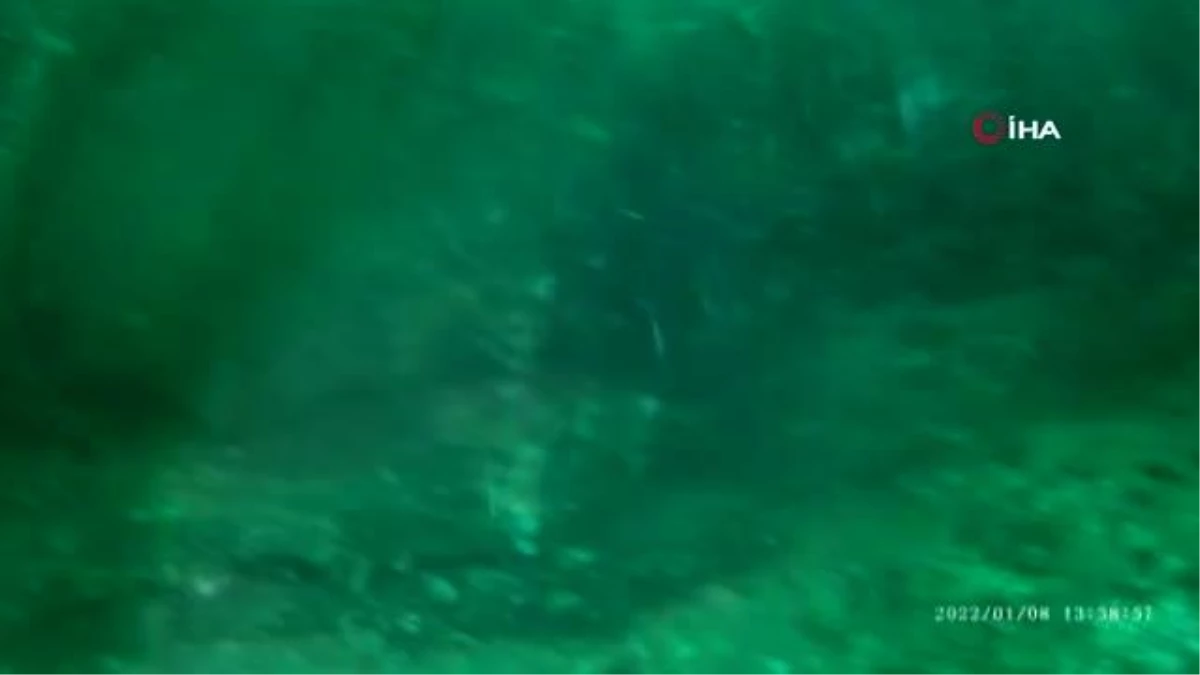 Hayalet ağlar Marmara Denizi'nden böyle çıkarılıyor