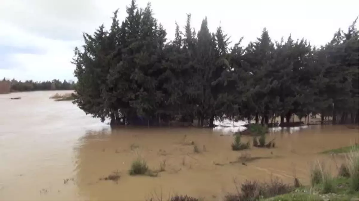 Irmaklar ile dere taştı, iş yerleri ve tarım alanlarını su bastı