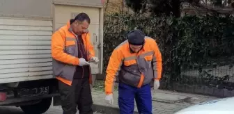 Lüleburgaz'da başıboş dolaşan pitbull barınağa götürüldü