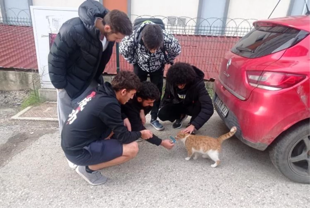 Sokak hayvanlarına öğrencilerden özel ilgi
