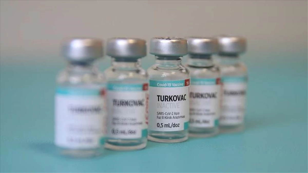 Son Dakika! Turkovac aşısının Faz-3 sonuçları belli oldu: En az Coronavac kadar güvenli ve etkin bir aşı