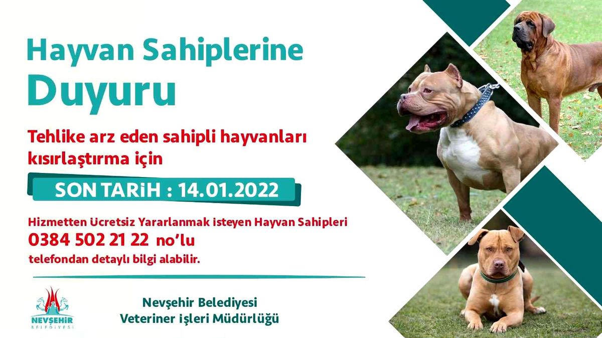 Yasaklı hayvanlar ücretsiz kısırlaştırılacak