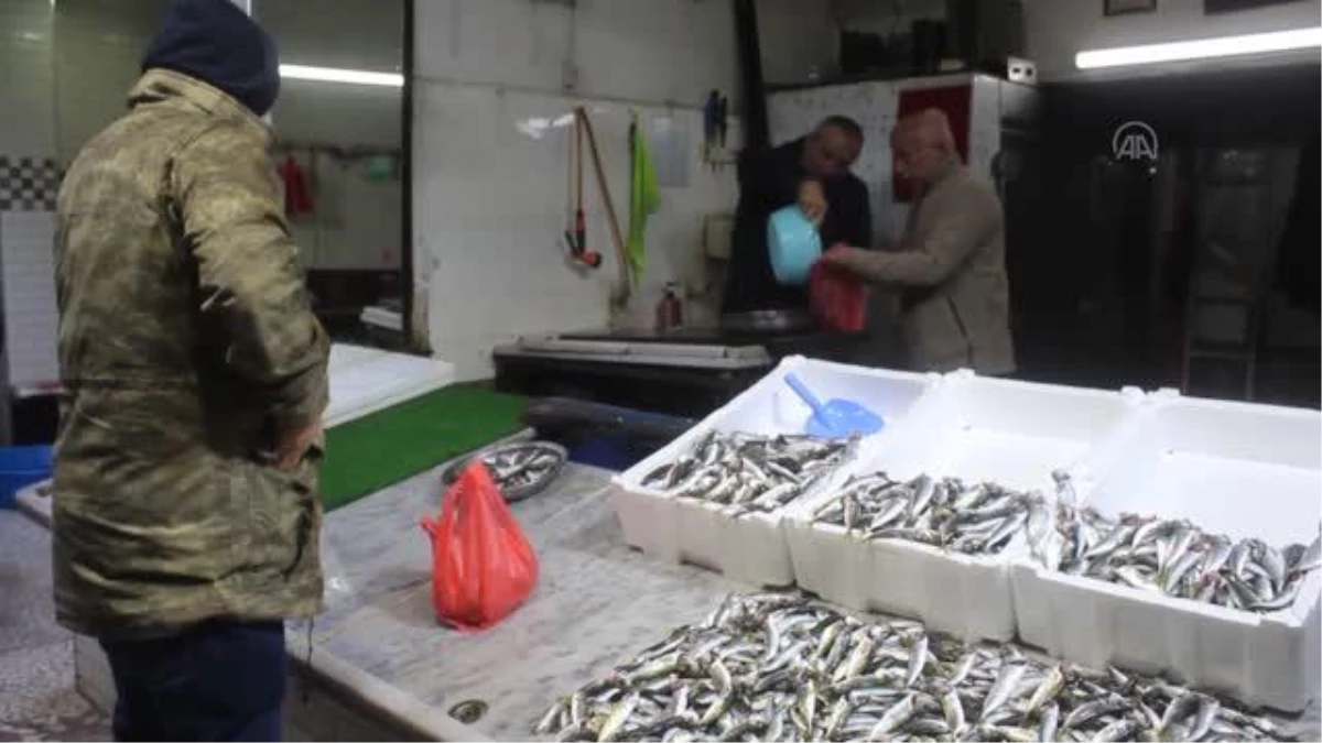 ZONGULDAK - Fırtınada balıkçılar denize çıkamayınca balık fiyatları arttı
