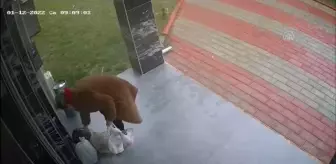 Eski karısını yanıcı maddeyle yaralayan kişi yakalandı (2)