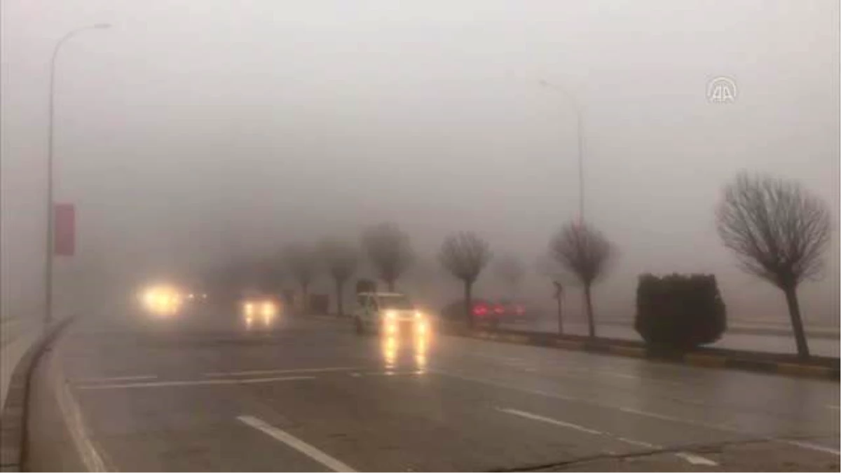 GAZİANTEP - Araban\'da yoğun sis etkili oluyor