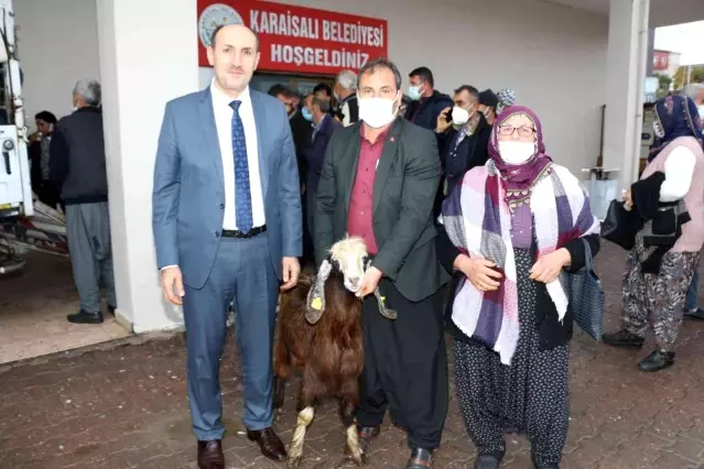 Kırsalda Kilis keçisi yaygınlaşacak