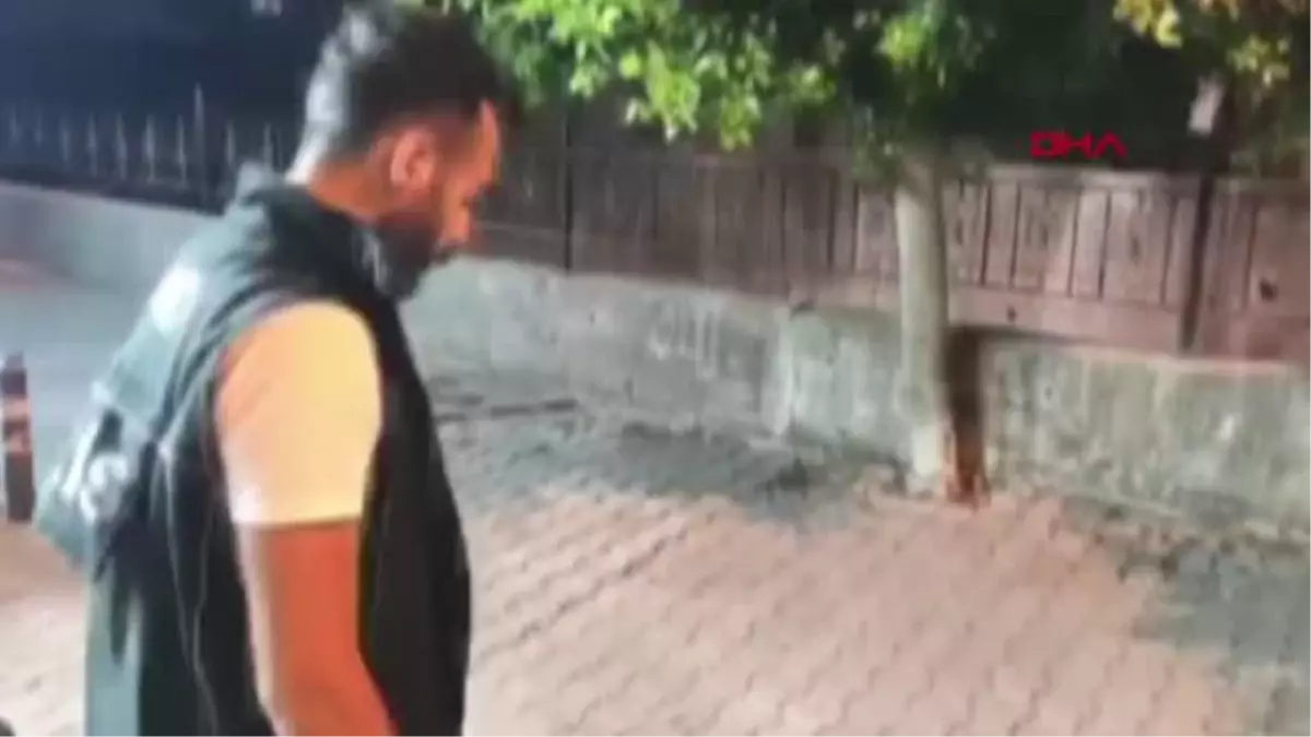 Marmaris'in narkotik köpeği 'Coco', suçluların korkulu rüyası oldu