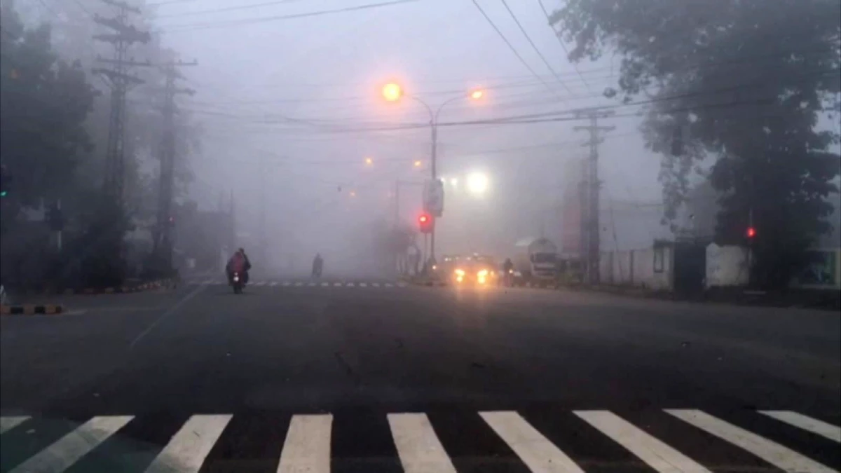 Pakistan\'da yoğun sis hayatı felç ettiUçak seferleri iptal edildi, yollar kapatıldı