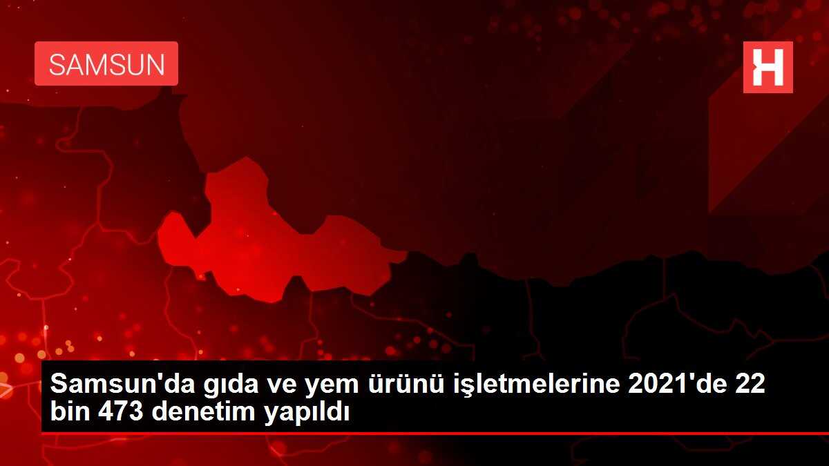 Samsun'da gıda ve yem ürünü işletmelerine 2021'de 22 bin 473 denetim yapıldı