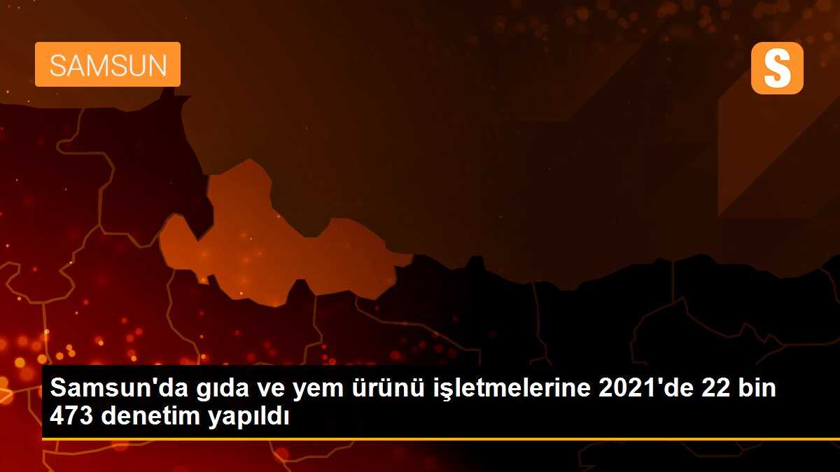 Samsun\'da gıda ve yem ürünü işletmelerine 2021\'de 22 bin 473 denetim yapıldı