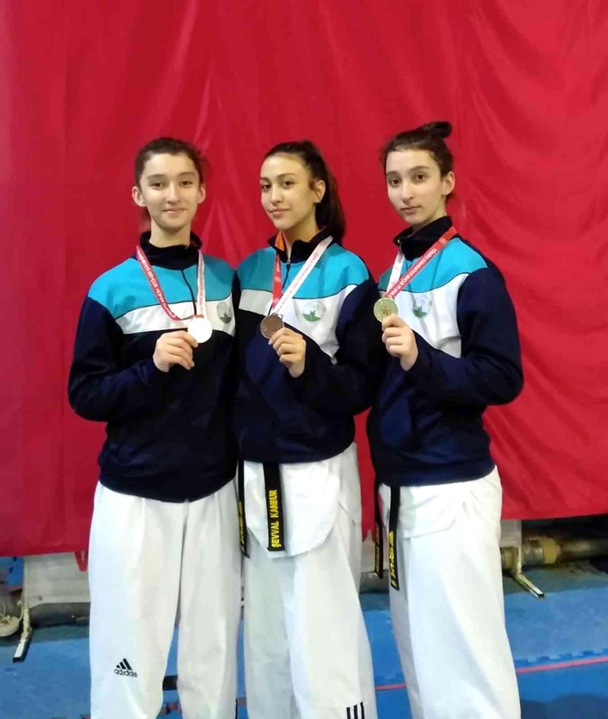 Tekvandoda Osmangazi başarısı