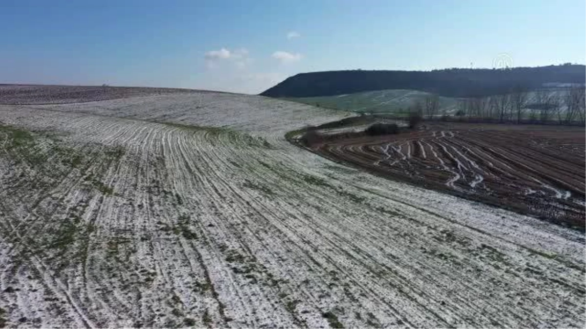 Trakya\'da kar yağışı ile buğdayın gelişim hızı normal seviyelere geriledi