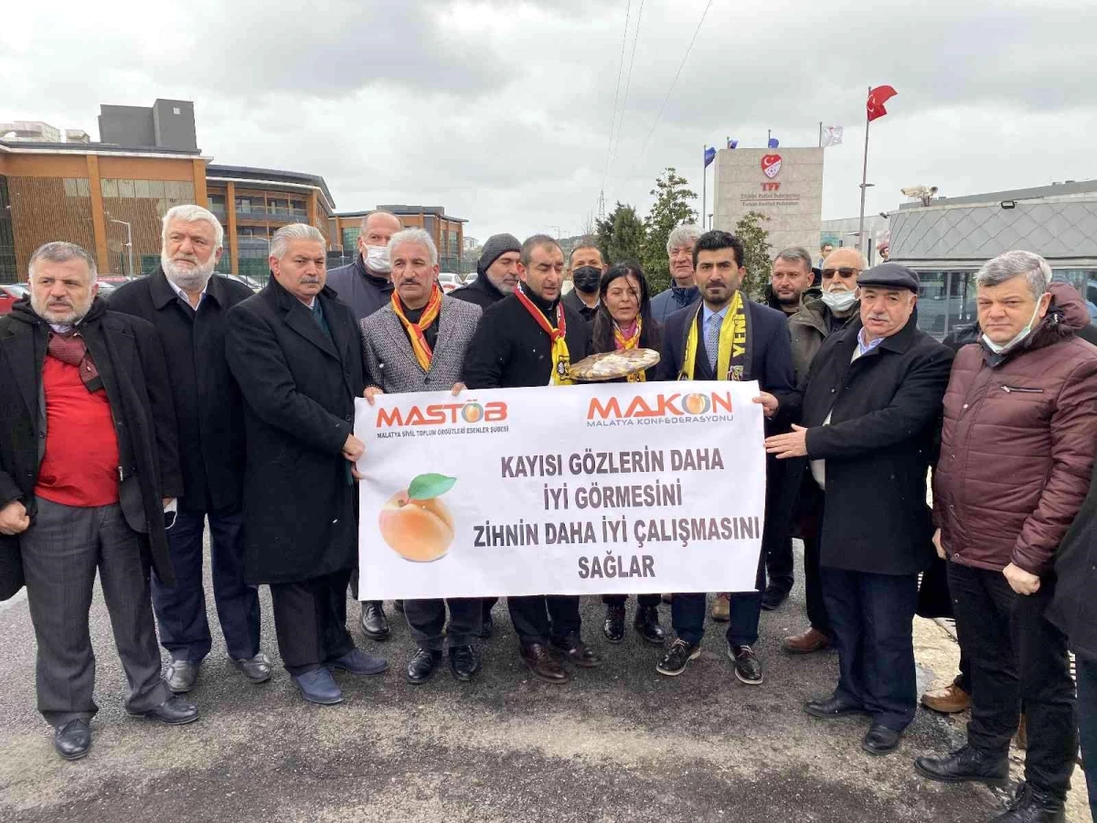 Yeni Malatyaspor\'un avukatlarından TFF\'ye kayısılı tepki