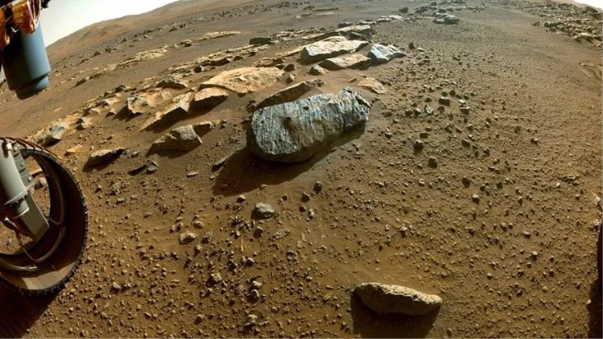 Mars\'ta hayat var mı? Cevap Antarktika\'ya düşen göktaşında