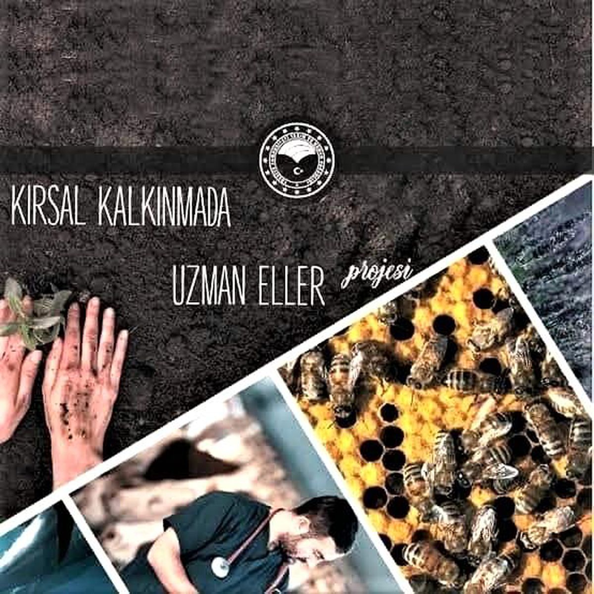 Erzincan'da 'Uzman Eller' projesinin başvuruları başladı