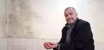 Fındık fiyatı haftayı 35 liradan kapatıyor