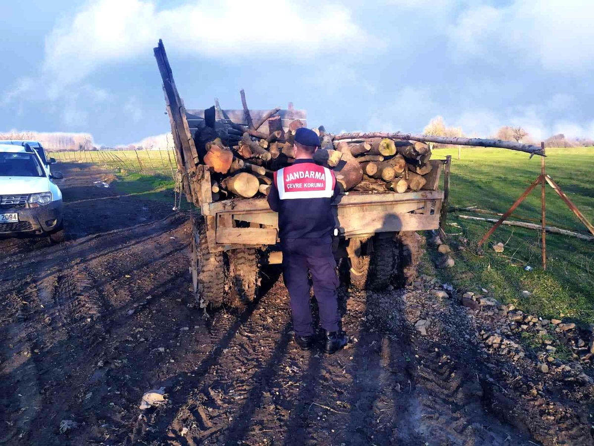 Kaçak orman emvaline jandarmadan geçit yok