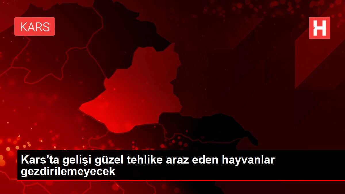 Kars'ta gelişi güzel tehlike araz eden hayvanlar gezdirilemeyecek