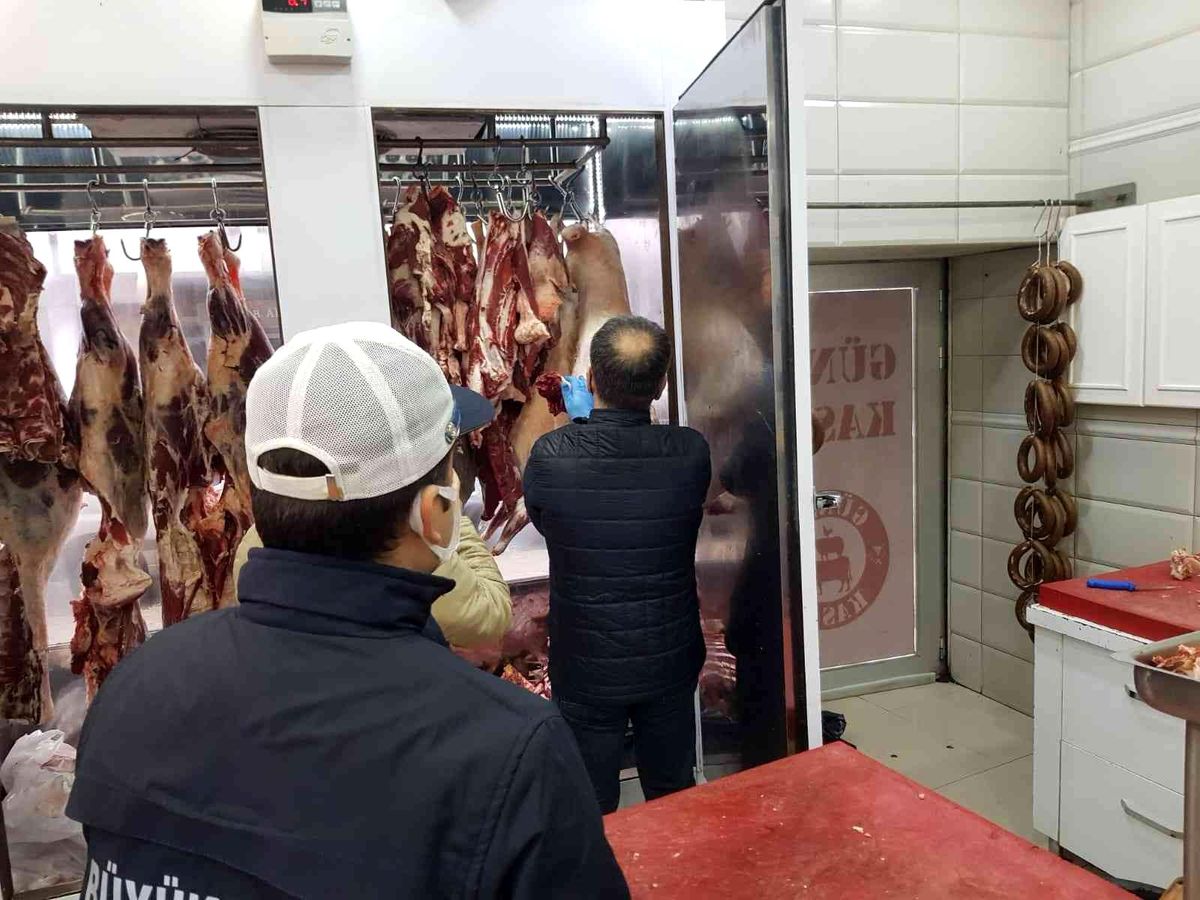 Ordu'da 2 ton kaçak ete el konuldu