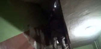 Terör örgütü PKK'ya yönelik operasyonda 8 kişi yakalandı