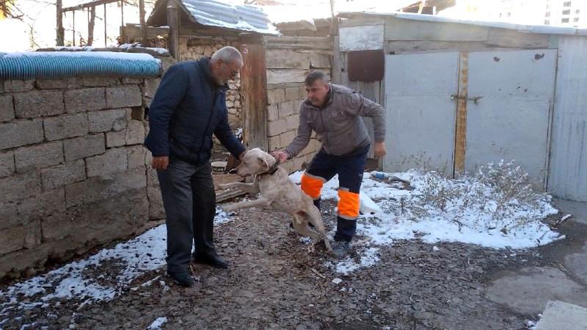 Yasak ırk köpeğini kendi elleri ile teslim etti