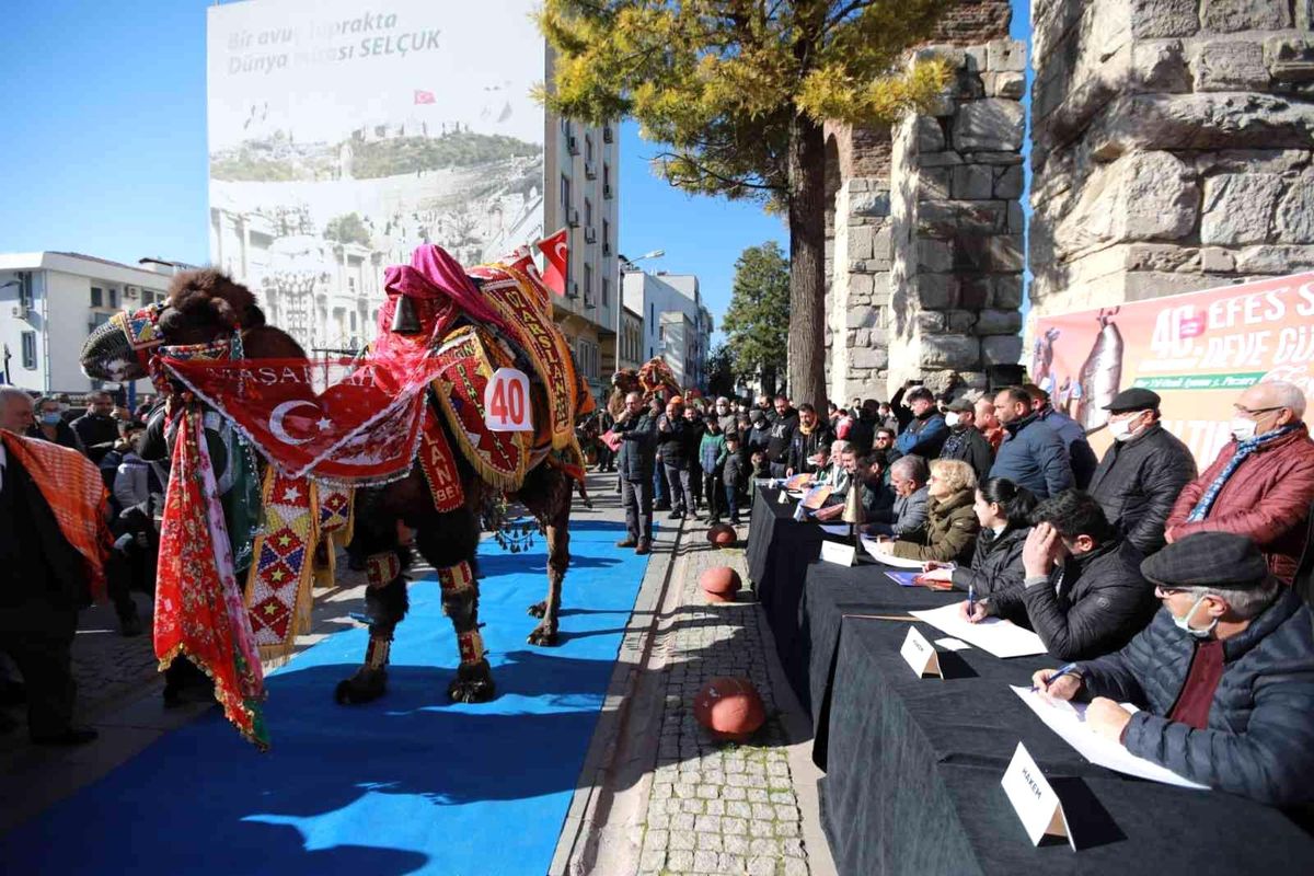 40. Uluslararası Efes Selçuk Deve Güreşleri Festivali başladı