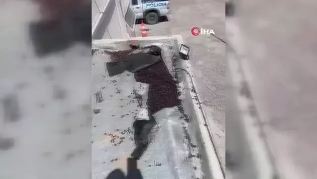 Arjantin'de gergedan böceği istilası! Kanalizasyonlar tıkandı, evlerin çatılarında hasar oluştu