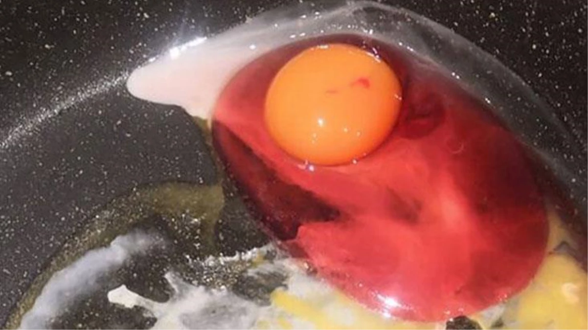 Evde kırılan yumurta, kırmızı aktı! Uzmanlar uyardı: "Görürseniz sakın tüketmeyin"