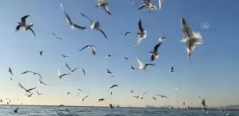 İzmir'de günlük yaşam