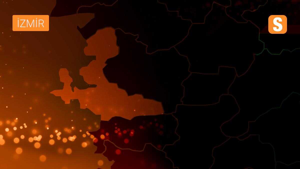 İzmir\'de jandarma ekipleri, sokak hayvanlarını besledi