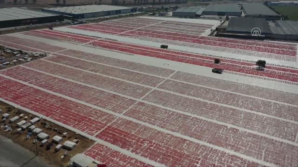 Kuru domates ihracatı 100 milyon dolara yaklaştı