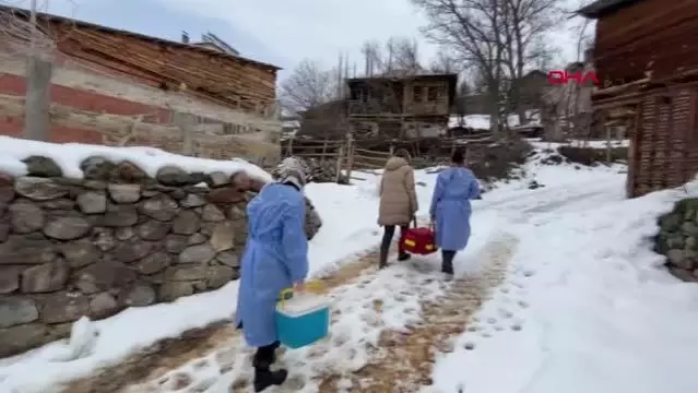 ORDU'DA KARLI YOLLARDA AŞI MÜCADELESİ