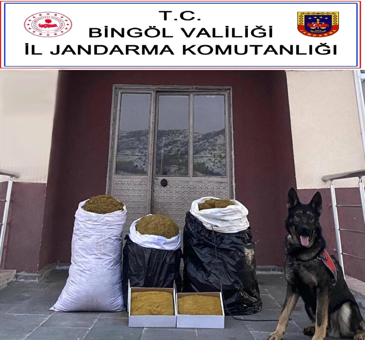 \'Yaba\' kokladı, Bingöl\'de 75 kilo kıyılmış tütün ele geçirildi