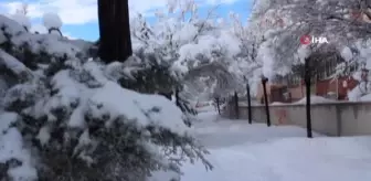 Kar yağışı kartpostallık görüntüler oluşturdu