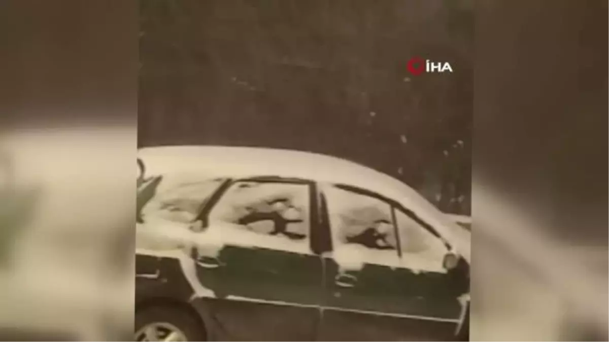 Posof'ta tipi hayatı olumsuz etkiliyor