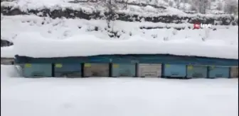 Şırnak'ta kar kalınlığı 2 metreyi buldu...26 köy, 11 mezra yolu ulaşıma kapandı