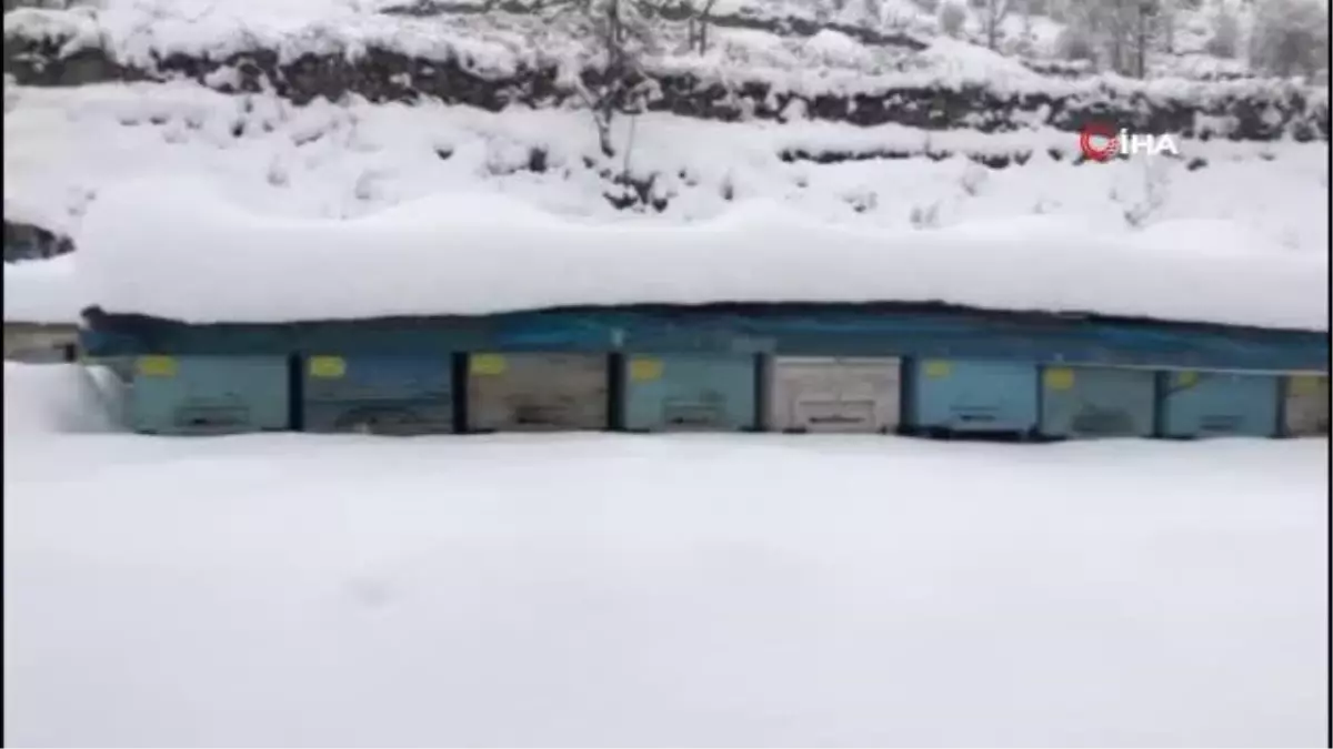 Şırnak'ta kar kalınlığı 2 metreyi buldu...26 köy, 11 mezra yolu ulaşıma kapandı