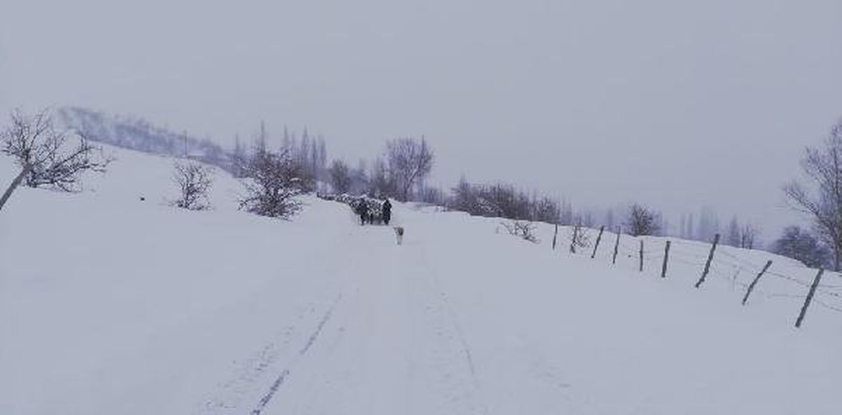 Yaylada mahsur kalan çoban ve sürüsü için 3 saatlik mücadele