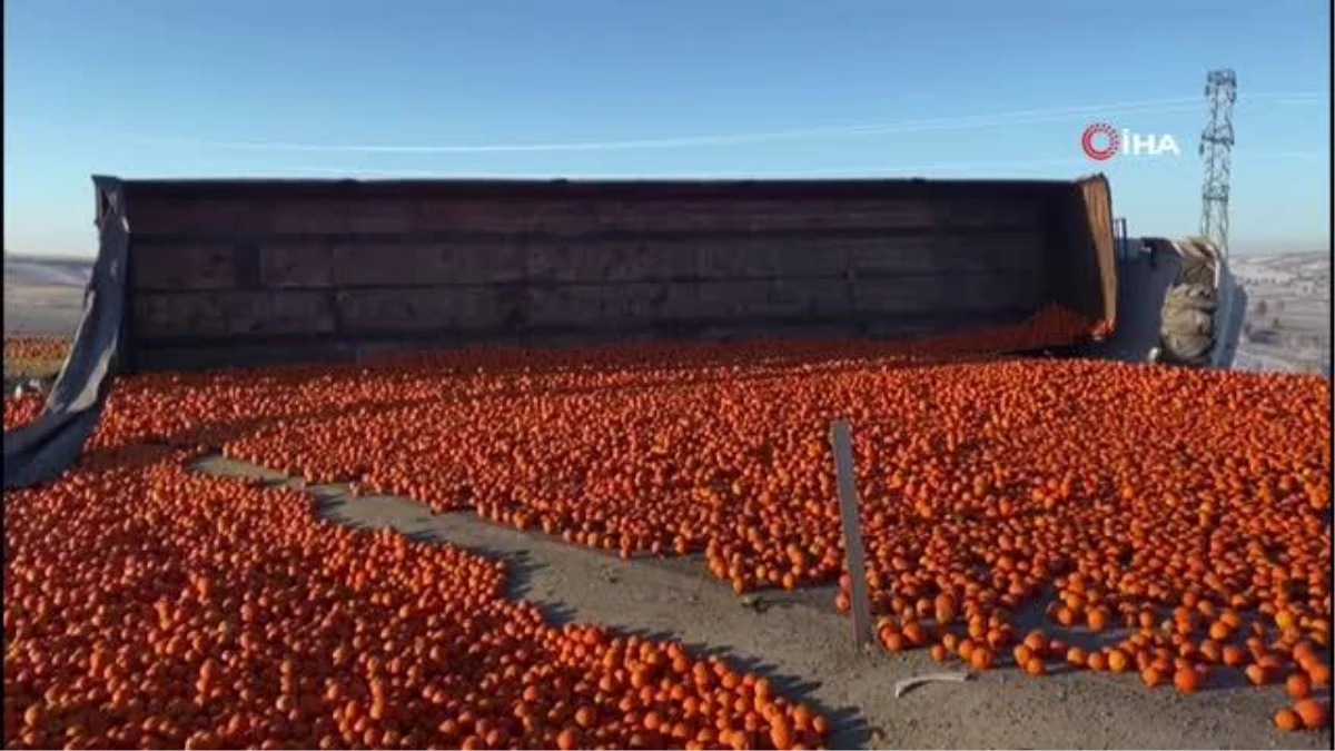 Devrilen tırdaki tonlarca portakal yola saçıldı