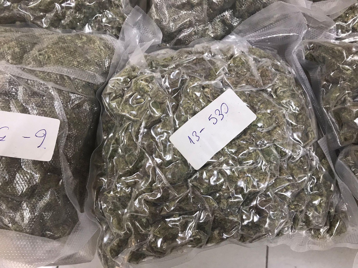 Düzce\'de 19,5 kilogram esrar ele geçirildi, bir zanlı tutuklandı