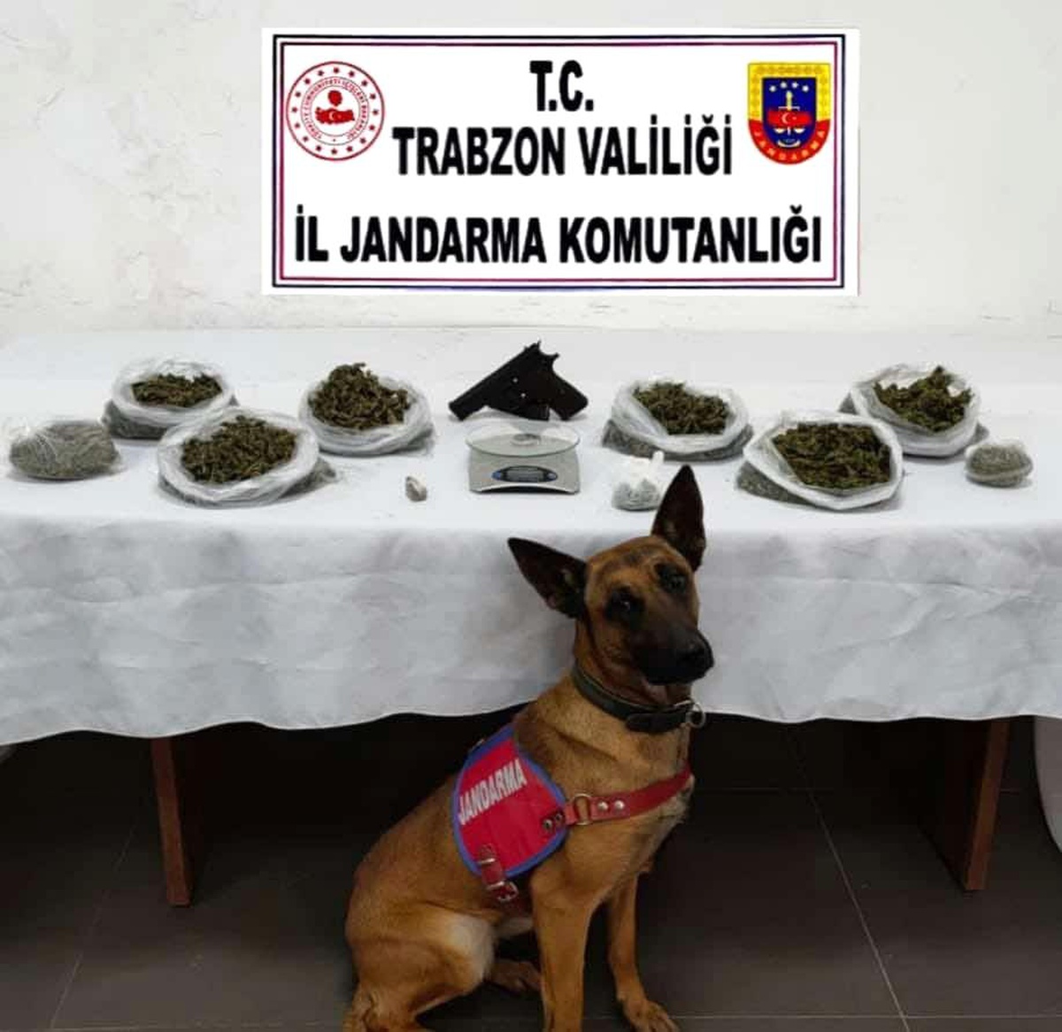 Son dakika haberleri... Jandarmadan iki noktada uyuşturucu operasyonu: 2 gözaltı